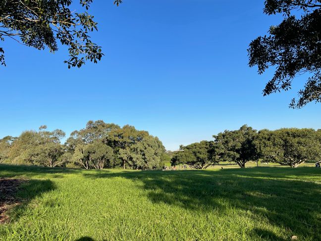 Beautiful, clear blue skies.